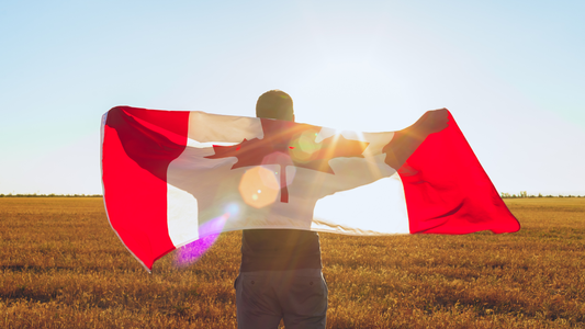 Where to Buy Sustainable Men’s Underwear in Canada