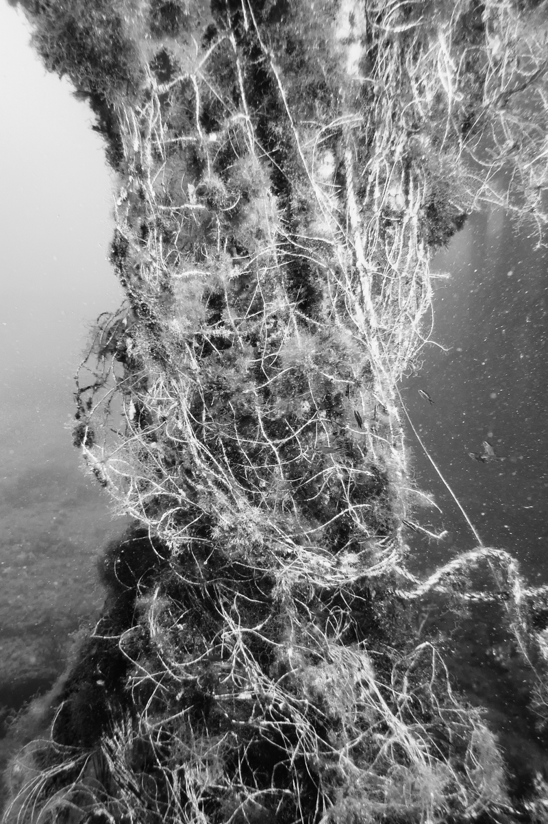 Fishing net