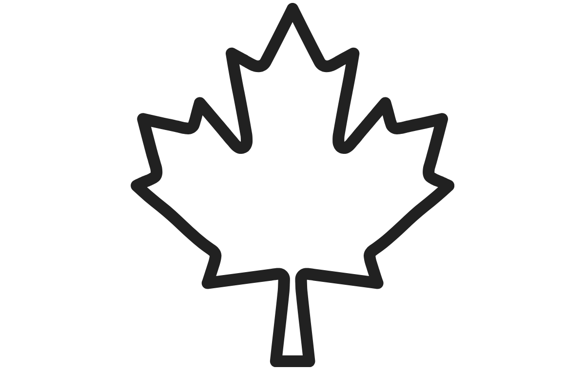 Feature 2 Icon